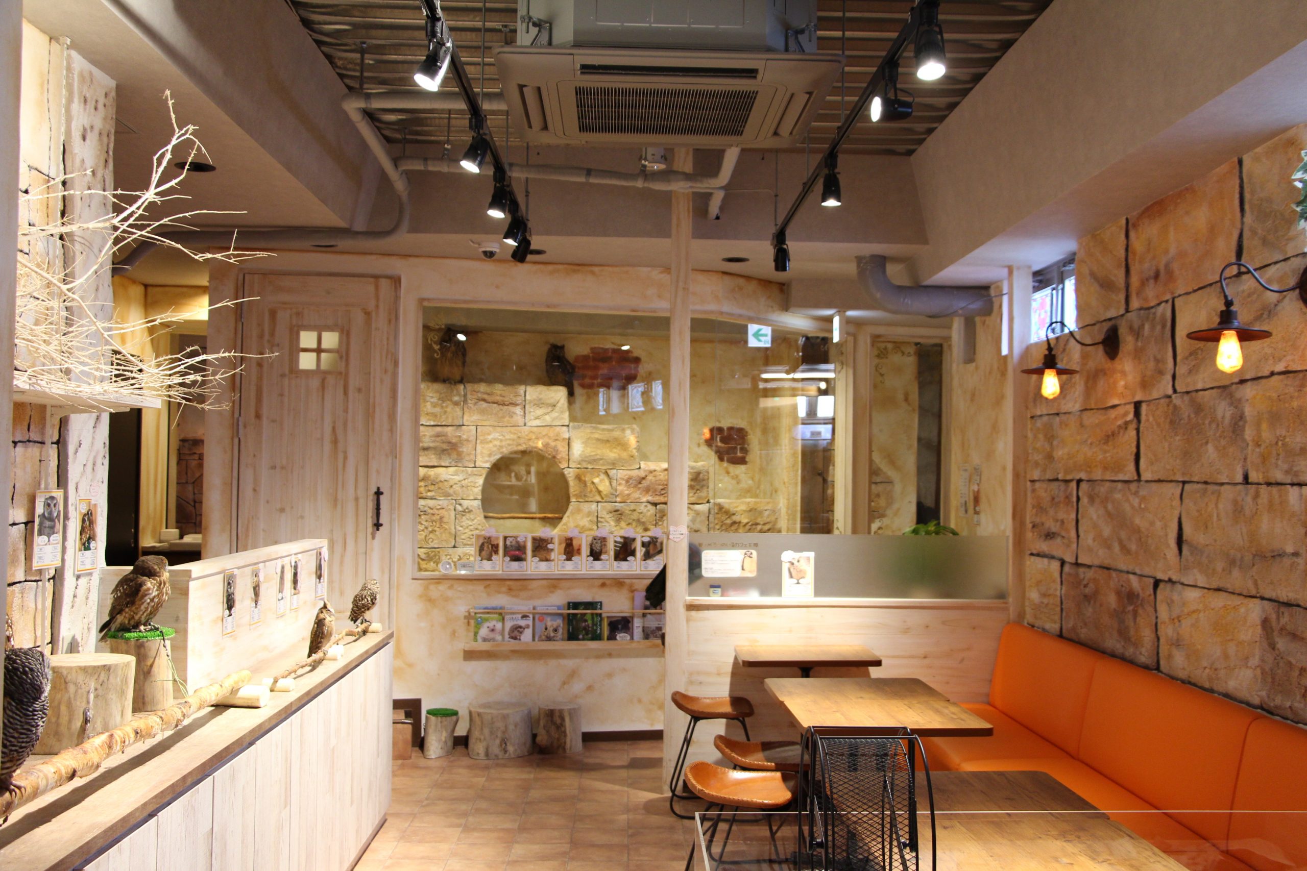 ふくろうのいるカフェ天神